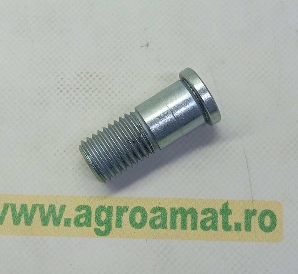 Surub Lemken 3018219