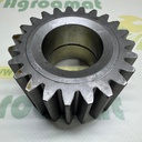 Pinion Planetara 31796700