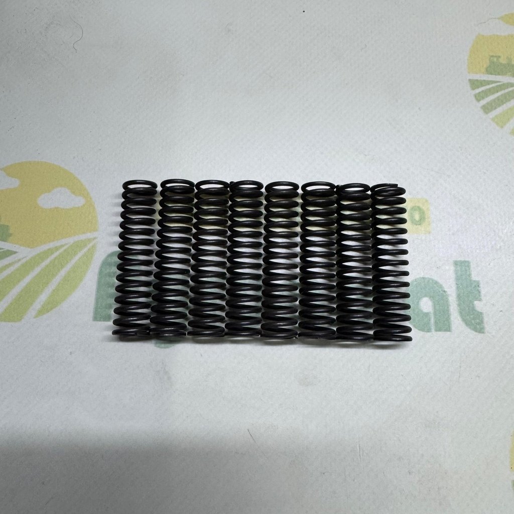 Set Arcuri Supapa 8 Buc
