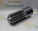 Arbore Pinion 113.06.012.01