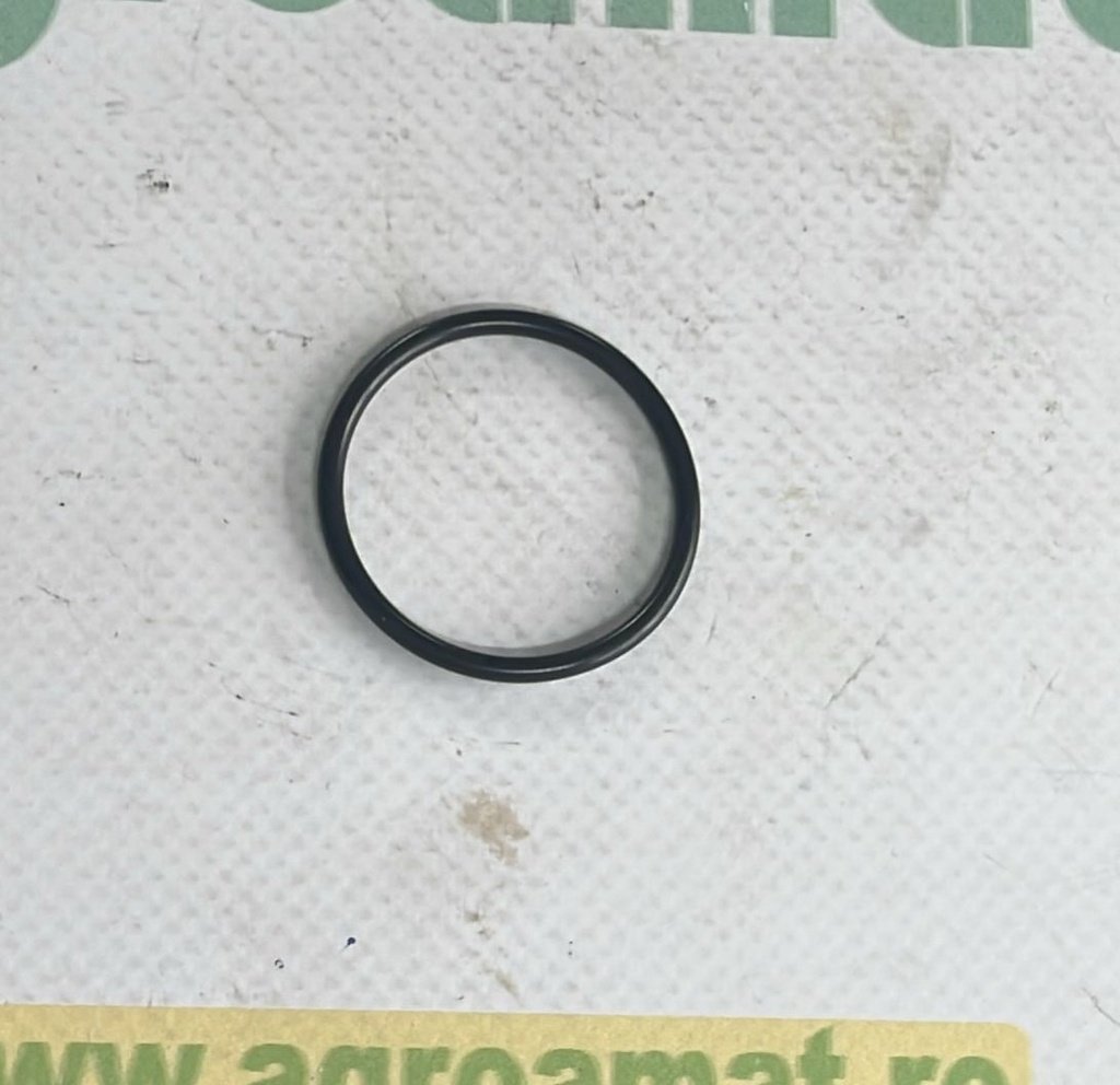 O-Ring Etansare Org.