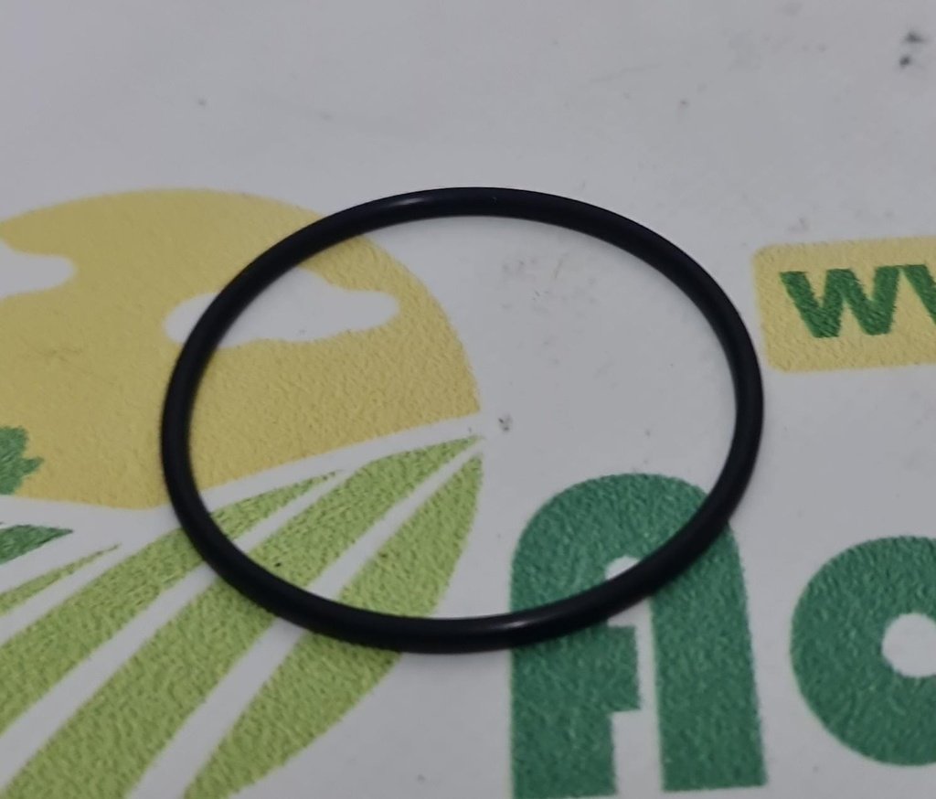 O-ring 109711