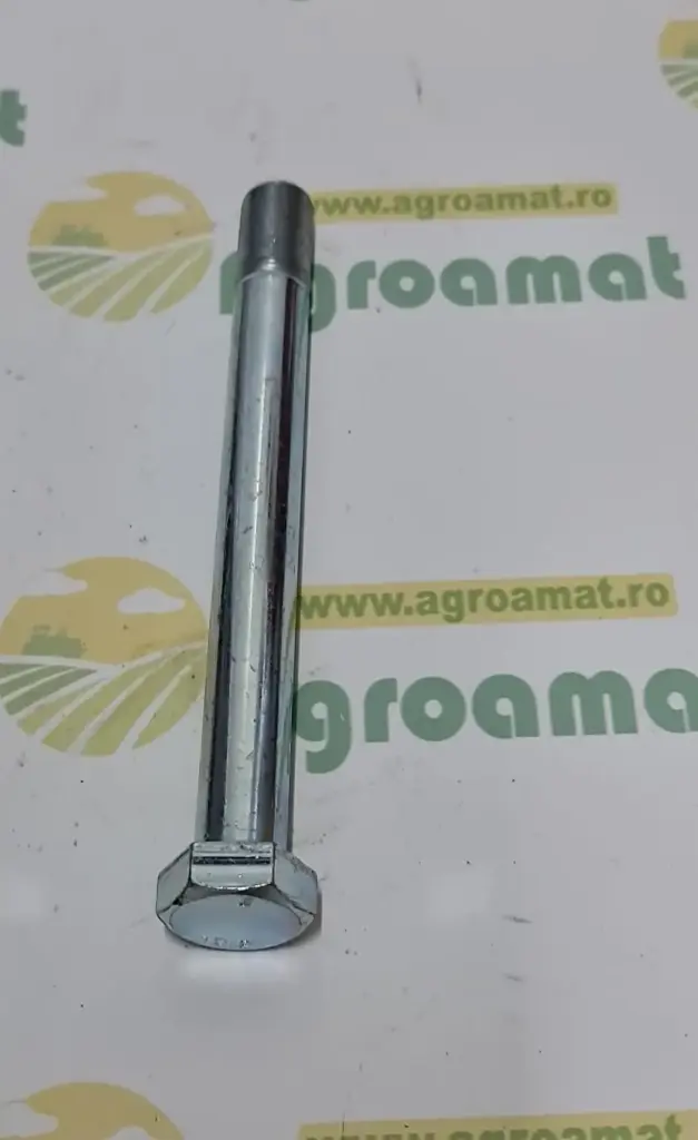 Surub Cap Hexagonal M20x200 