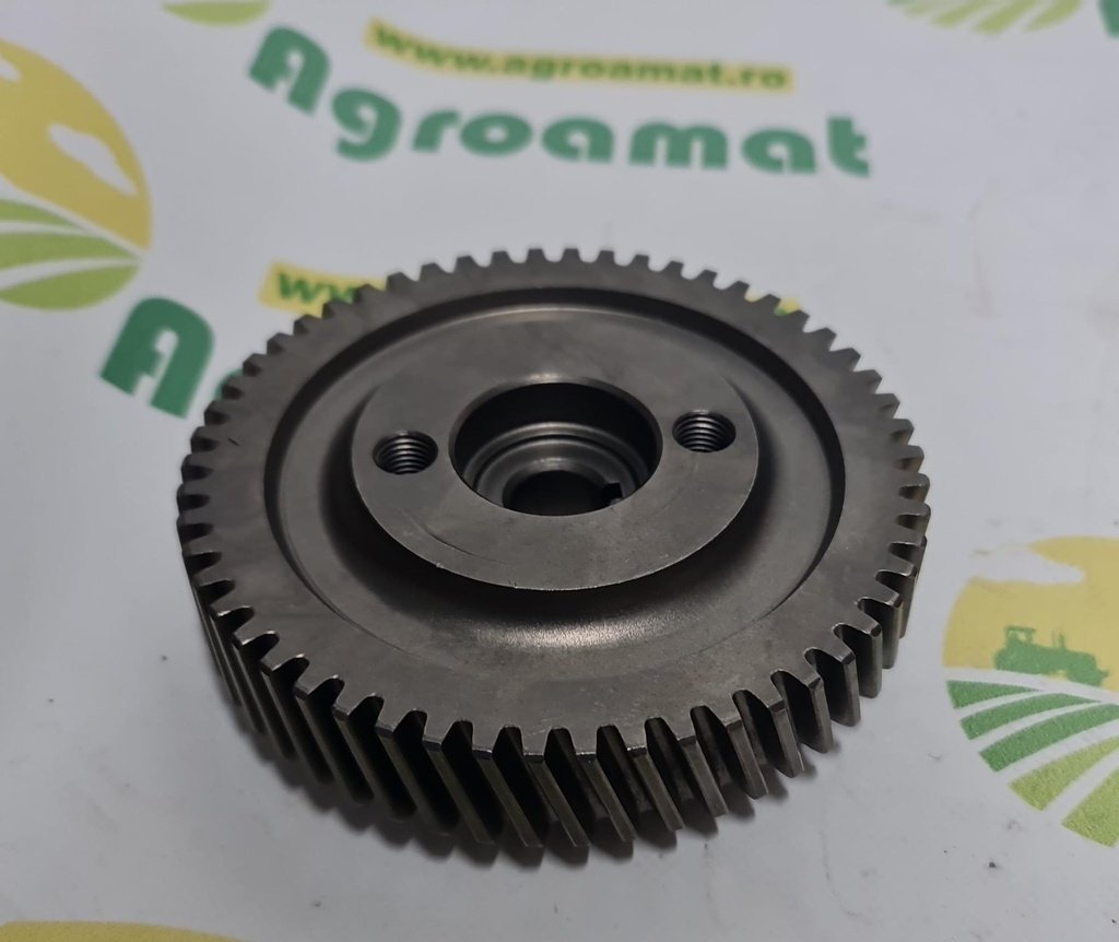 Pinion Distributie Z=54 4811625