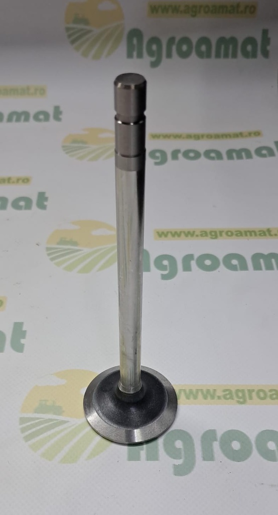 Supapa Evacuare R93313
