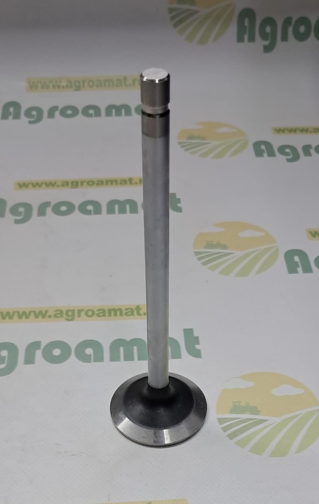 Supapa Evacuare R84619