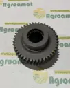 Pinion Grup Reductor Z-27/43 769484