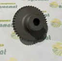Pinion Grup Reductor 775115