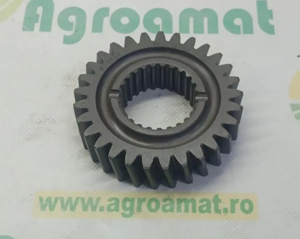 Pinion Reductor Z-29/25 R113834