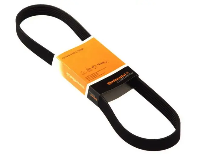 Curea Continental 6PK1000