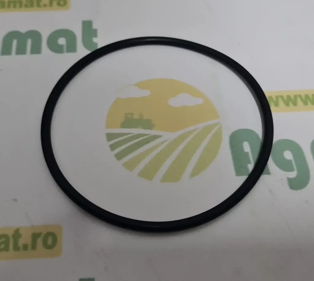 O-Ring X548977566000