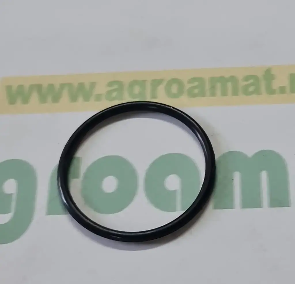 O-ring Org. 6005024645