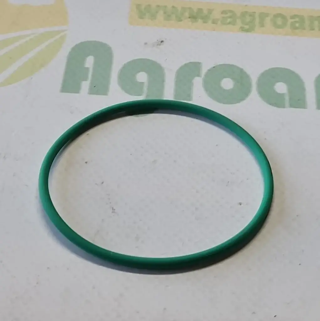 O-ring Org. FC302