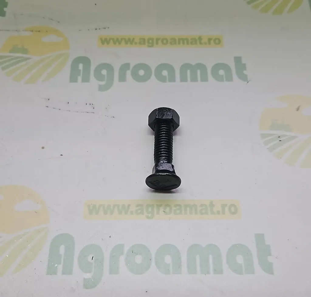 Bolt cu Piulita M12*50 DIN608