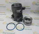 Piston + Cilindru Hidraulic