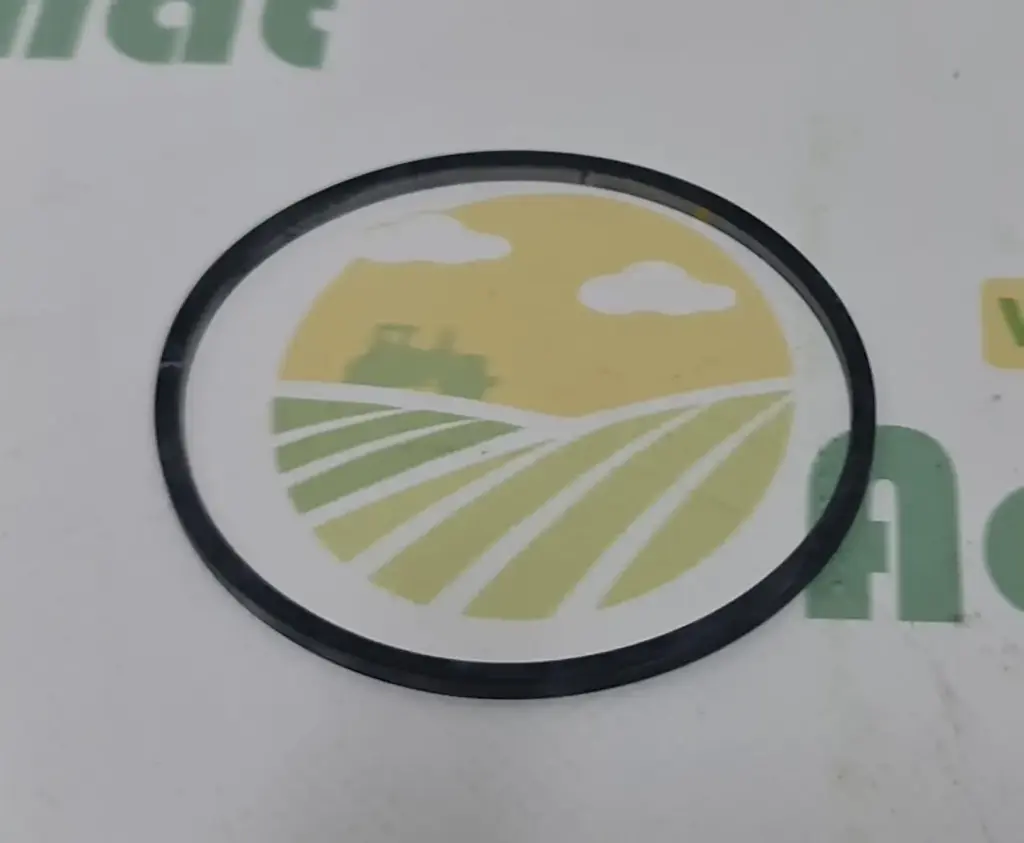 O-ring R65550