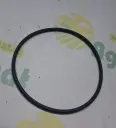 O-ring 14465780