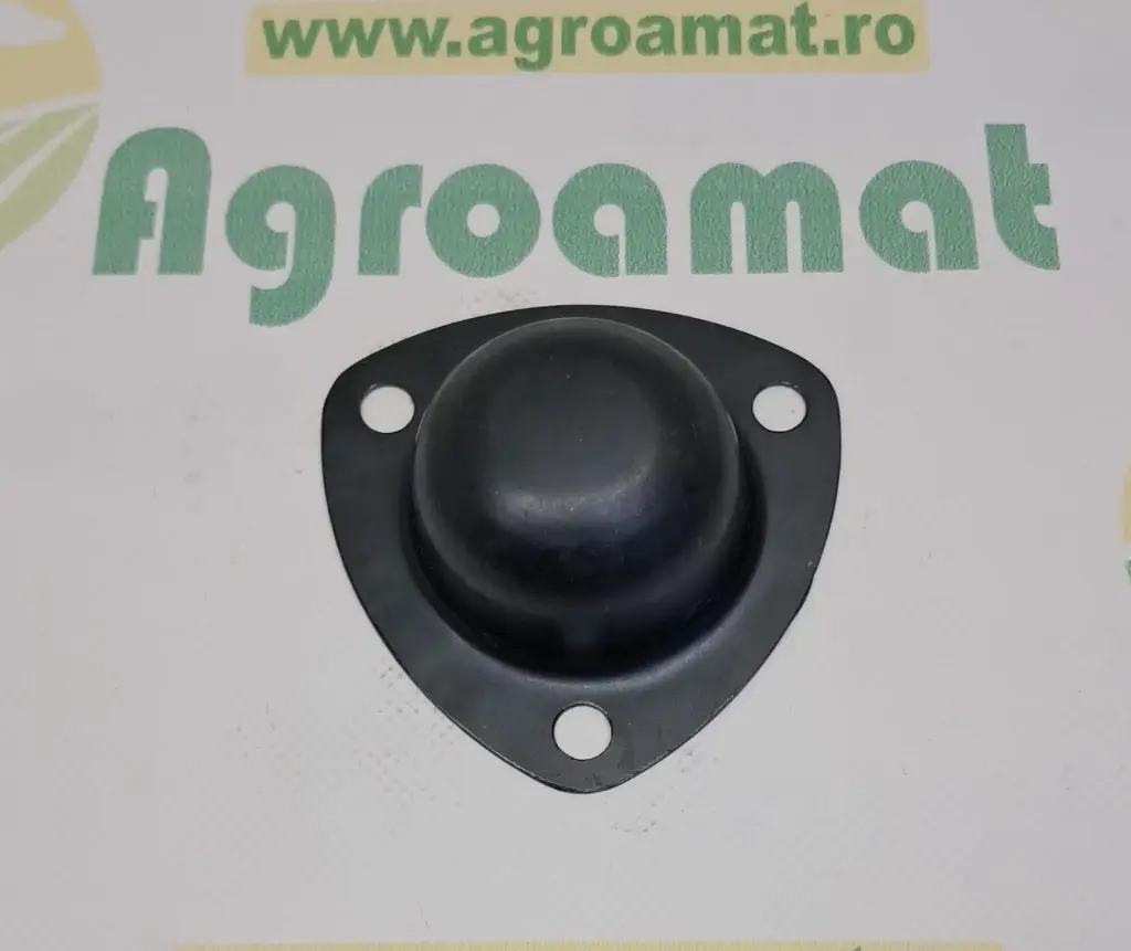 Capac Butuc Roata 713238R1
