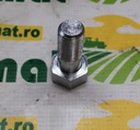 Surub L31683