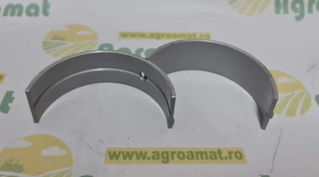 Cuzineti Principali 836840944