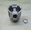 Piston + Segmenti