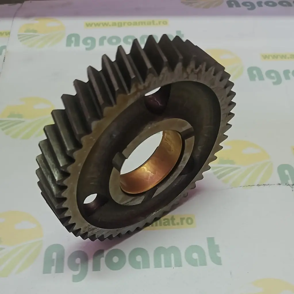 Pinion Distributie AT24252