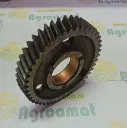 Pinion Distributie AT24252