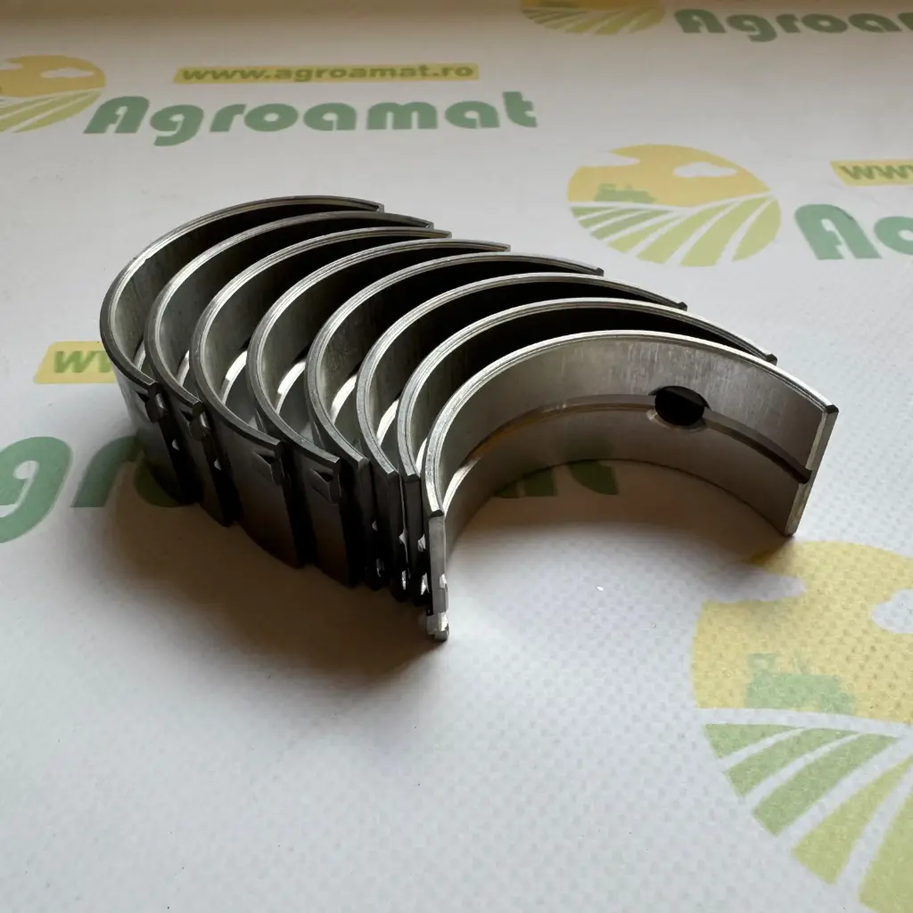 Cuzineti Arbore Cotit R1 3064525R11