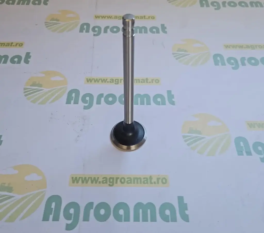 Supapa Evacuare V34049
