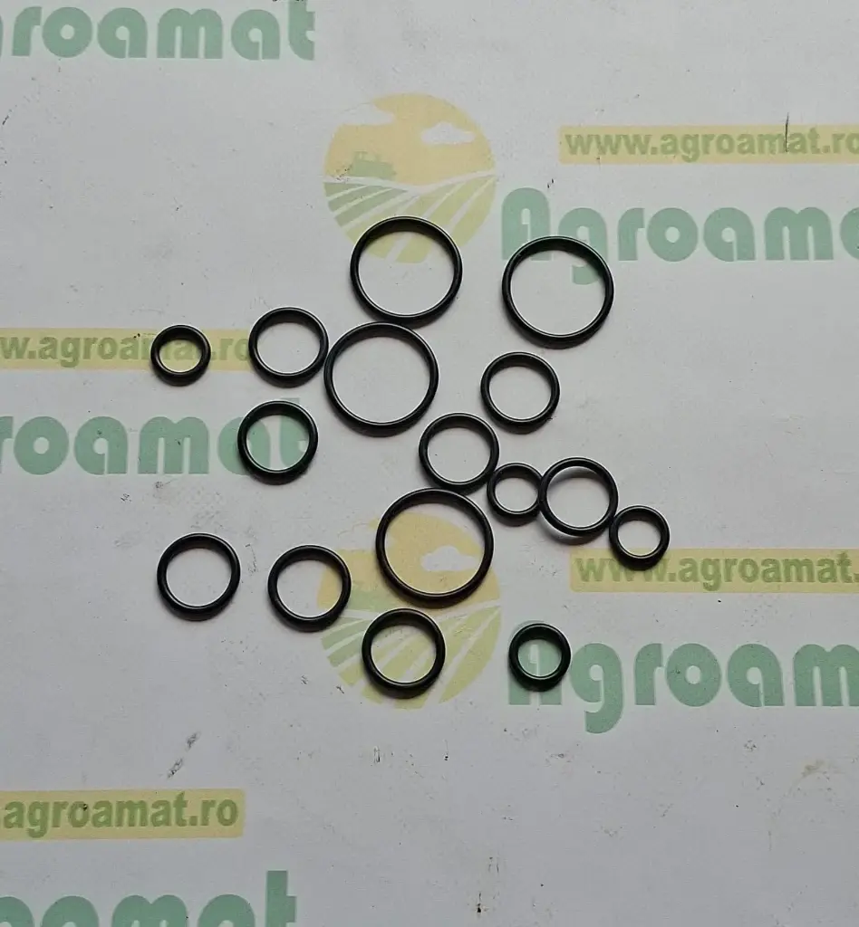 Kit O-ring Valva DC49898