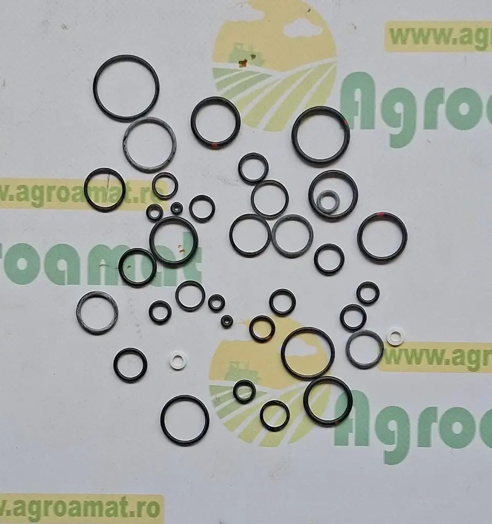 Kit O-ring DQ20181
