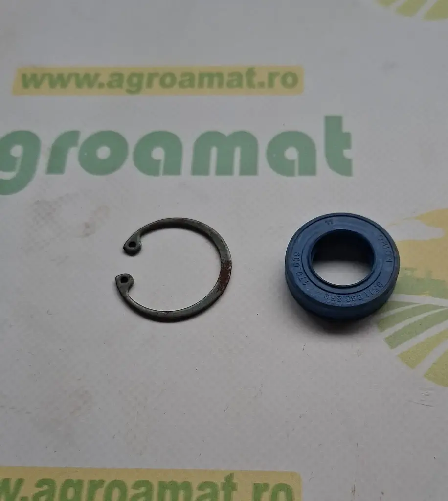 Kit Reparatie Pompa Hidraulica DQ20189
