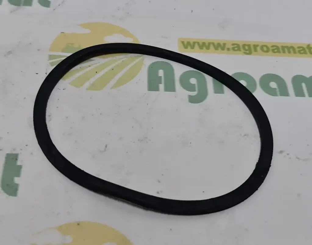 O-ring Org. 514100220420