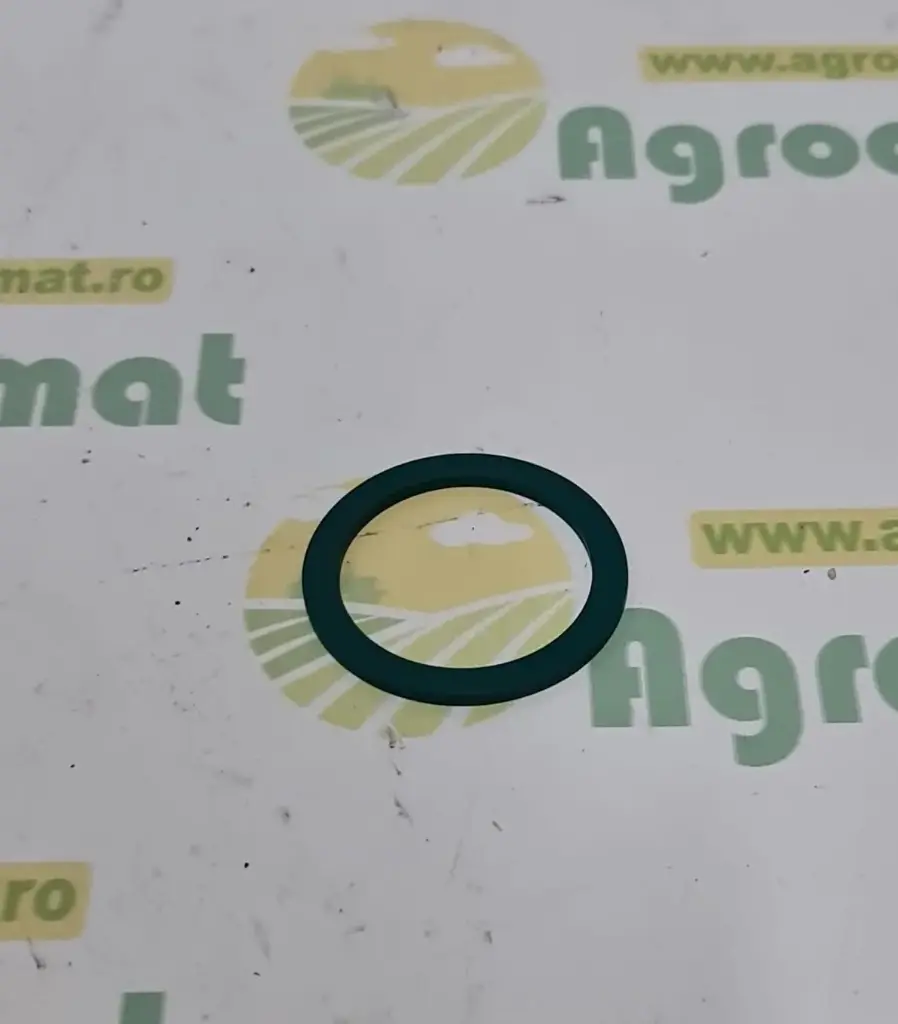 O-ring