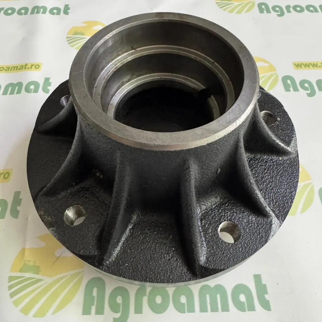 Butuc Roata 3229812R1