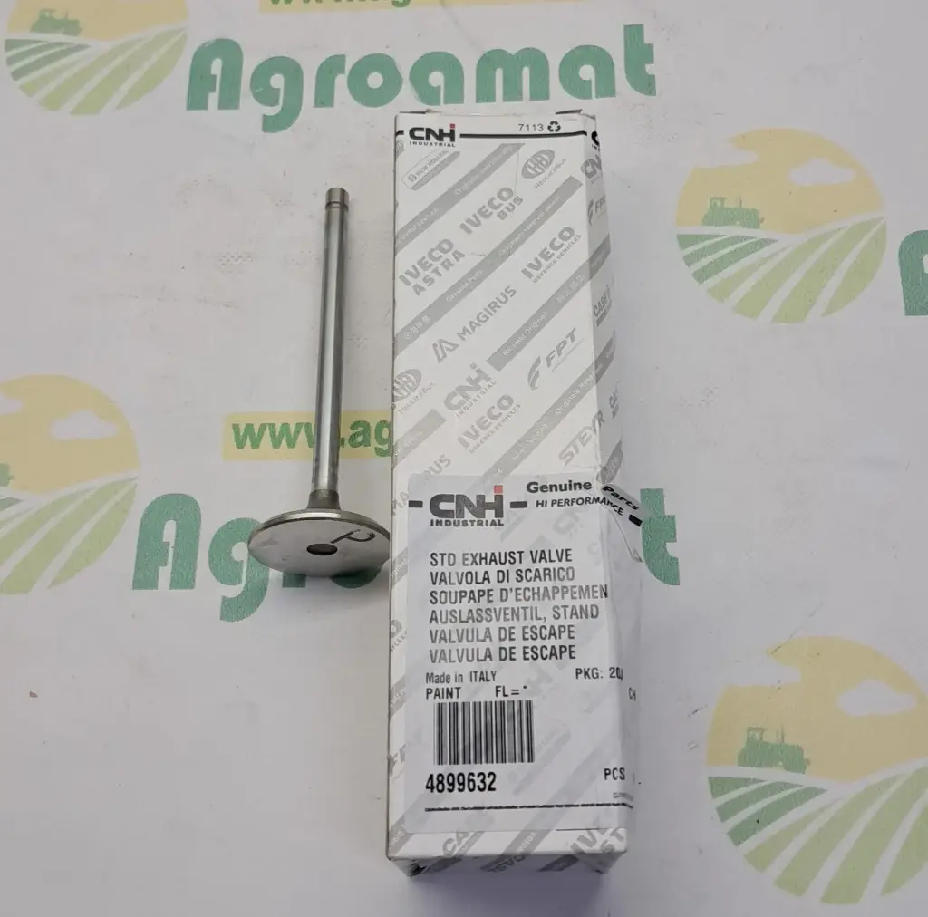 Supapa Evacuare 4899632