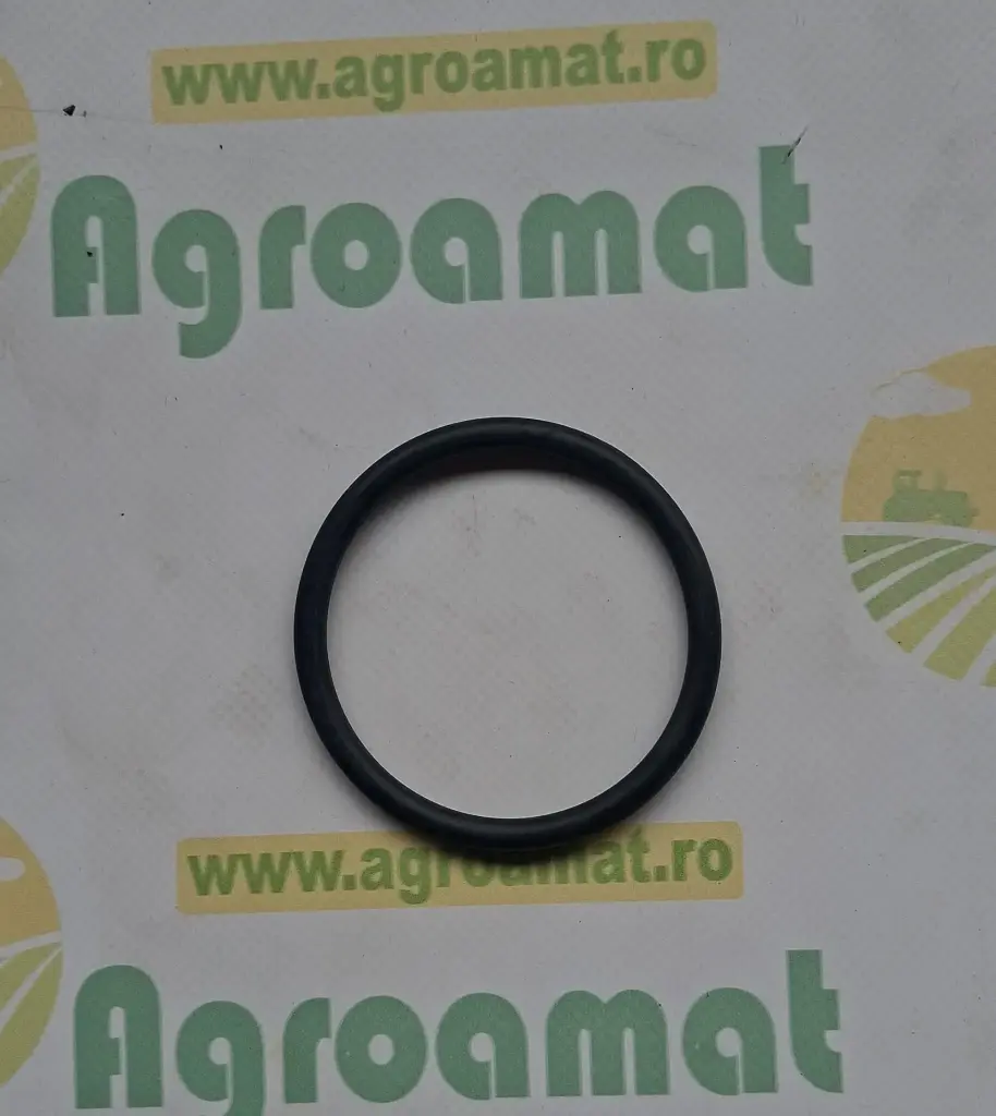O-ring U10063