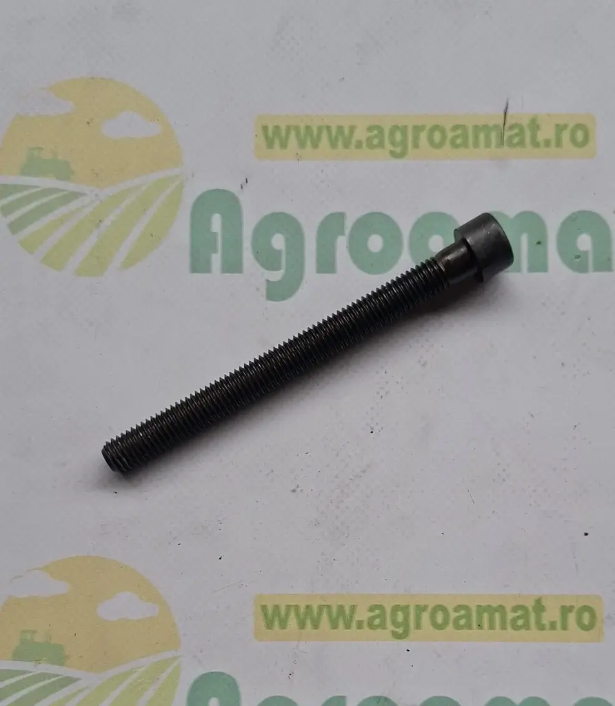 Surub L172599