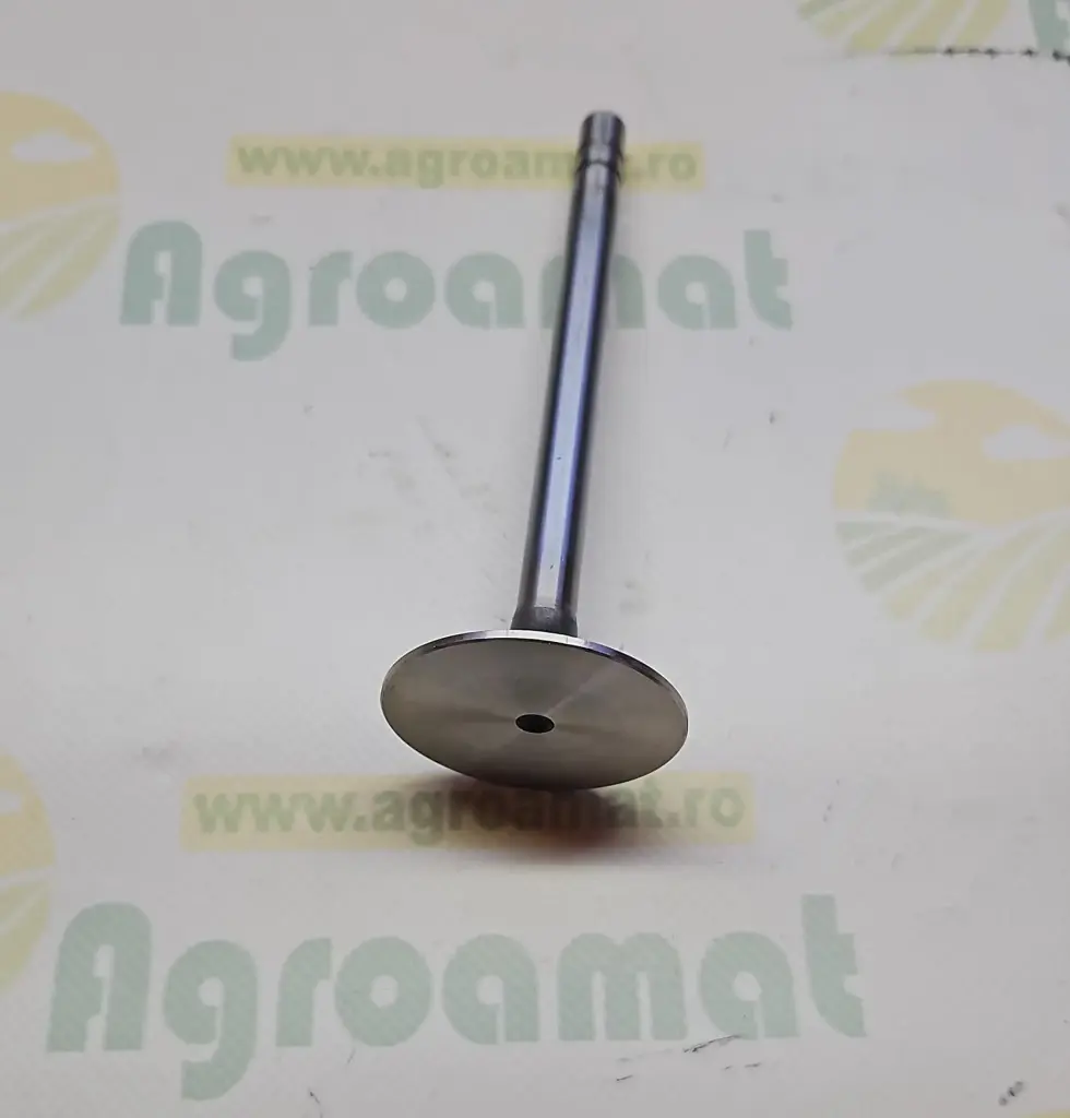 Supapa de Admisie R89220 