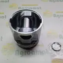 Piston Motor RE59279