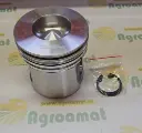 Piston Motor RE500211