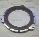 Placa de Frana R331780