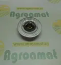 Termostat R36846