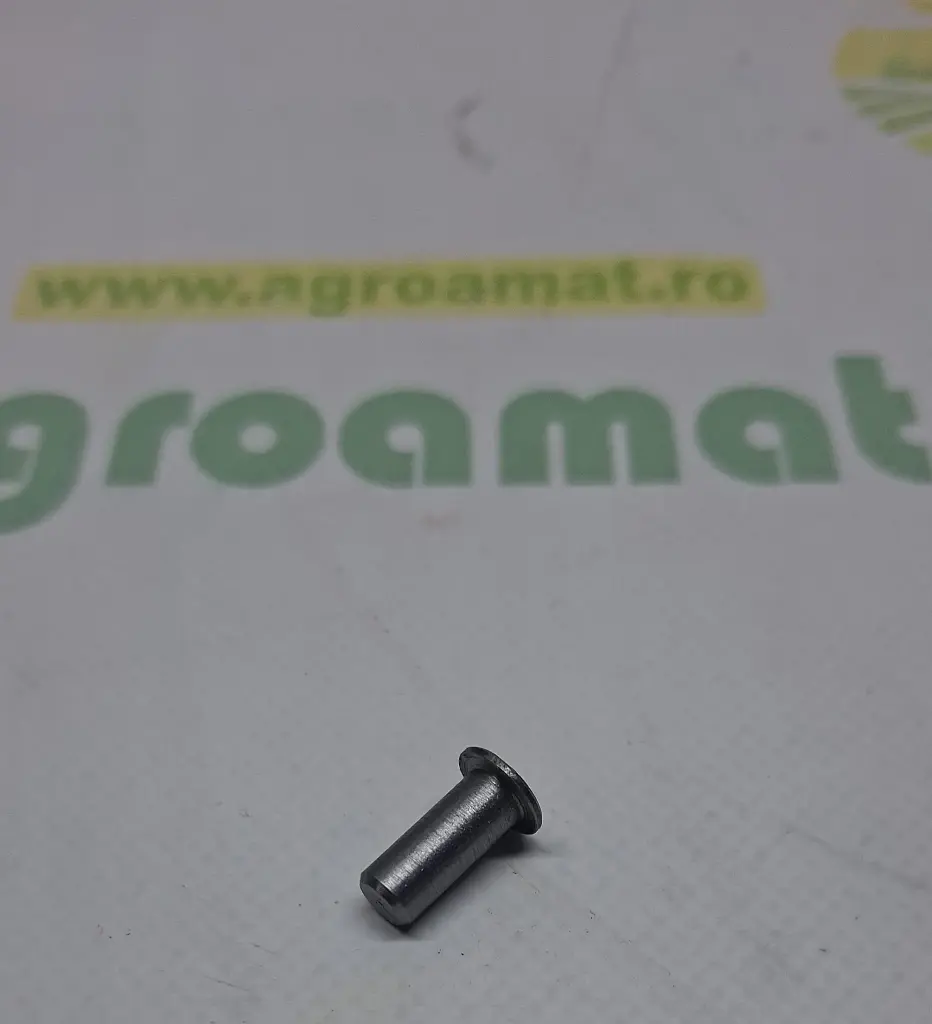 Ghid R39070