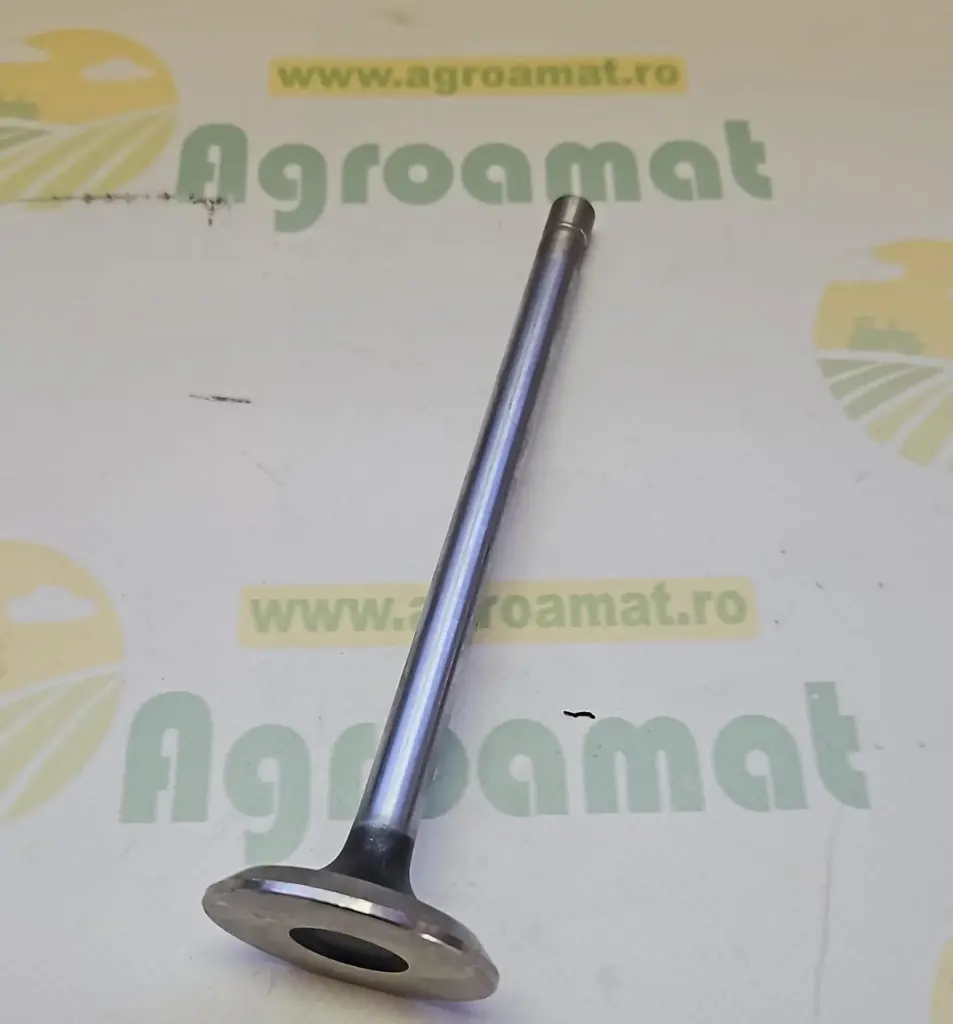 Supapa evacuare R43787