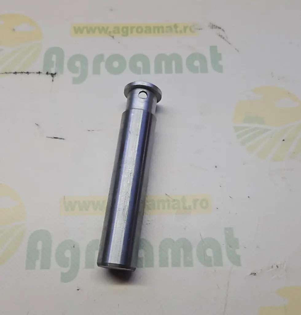 Piston Frana L31839