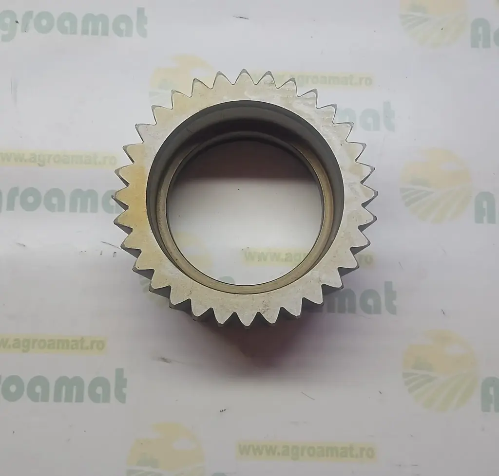 Pinion Planetar R128419