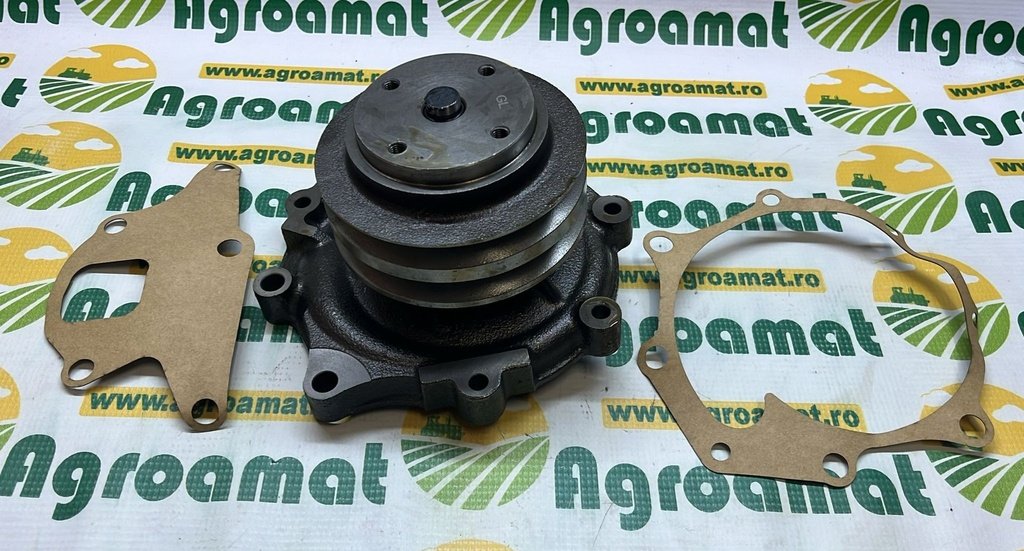 Pompa Apa 81863835