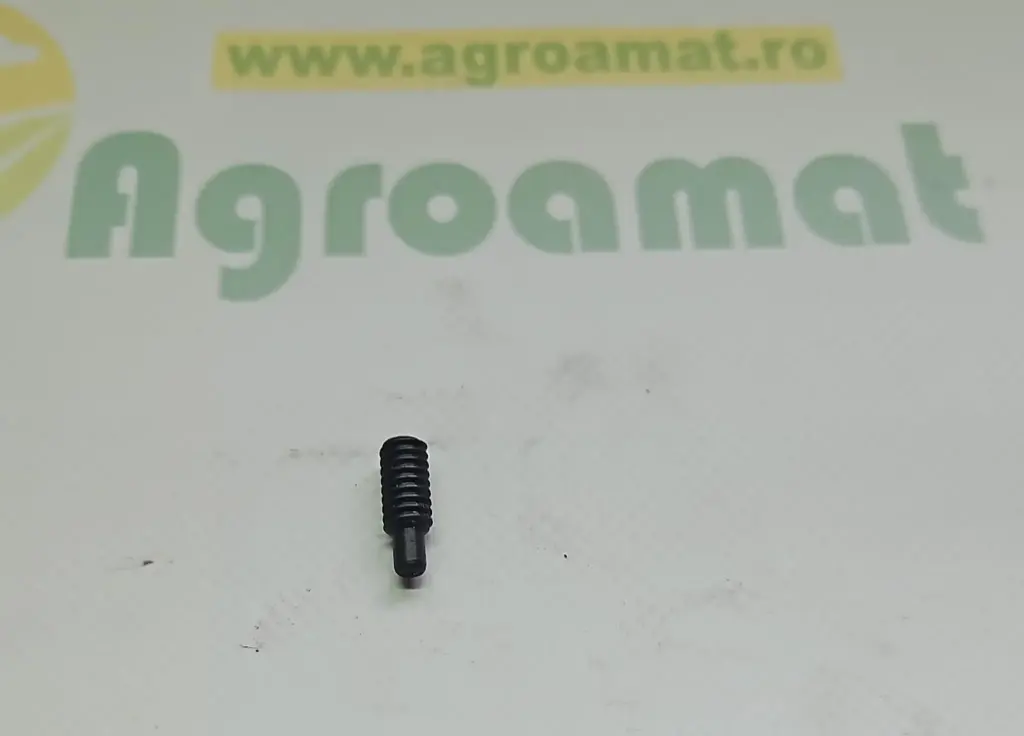Surub 887076M1
