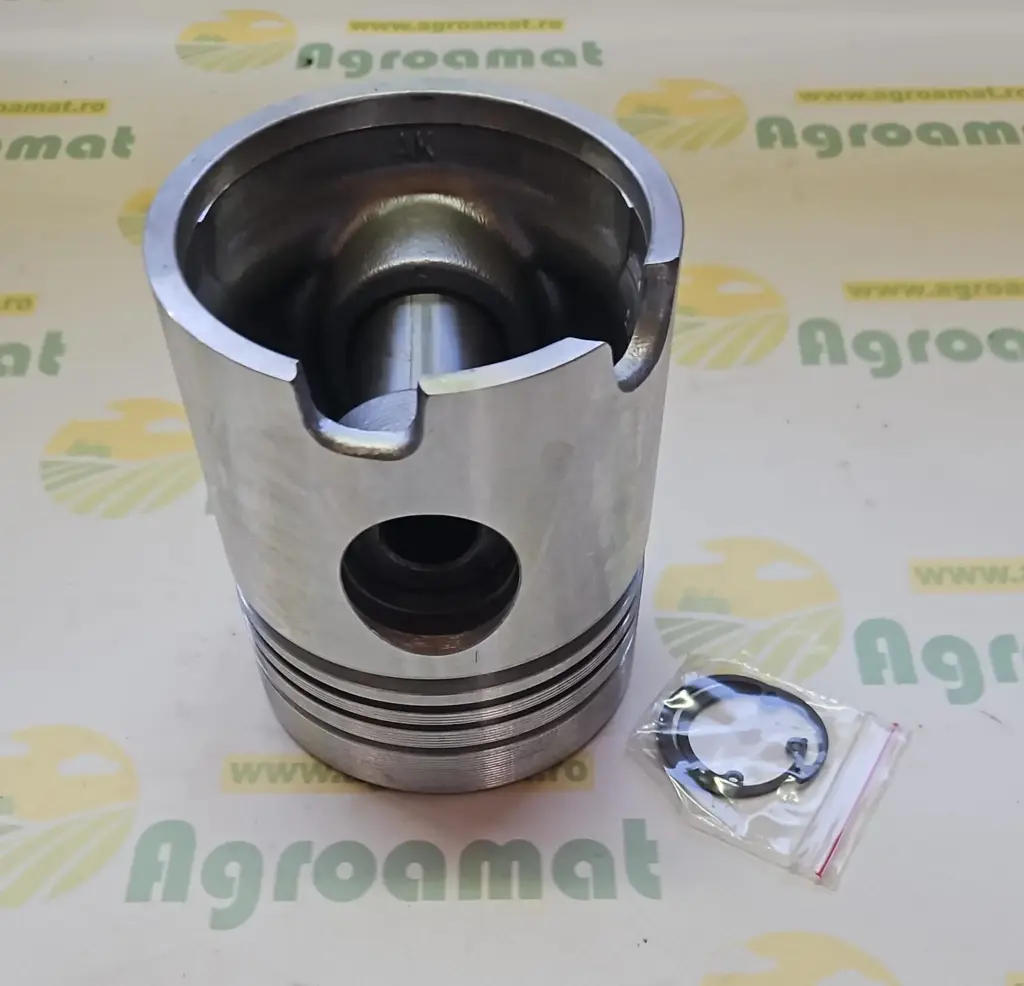 Piston cu Segmenti  02136958-050